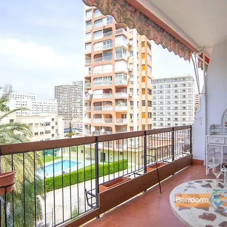 No Future Bookings Pease Benidorm